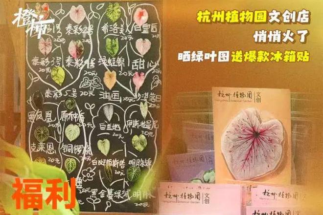 队橙柿送“认养一头牛”牛奶2箱pg电子首页全网助力浙BA杭州(图2)