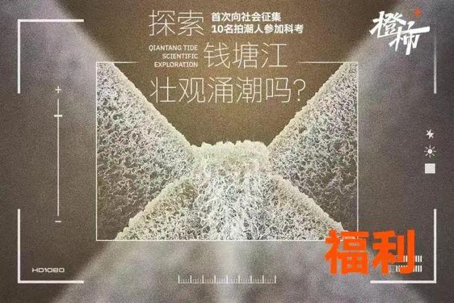 队橙柿送“认养一头牛”牛奶2箱pg电子首页全网助力浙BA杭州(图12)